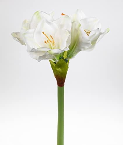 Seidenblumen Roß Amaryllis Real Touch 58cm weiß GA Kunstblumen künstlicher Ritterstern Blumen Pflanzen