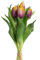 Botanic-Haus künstliches Tulpenbündel/künstlicher Tulpenbund Sandy mit 4 Tulpen und 3 Tulpenknospen Farbe: Mauve-gelb real Touch