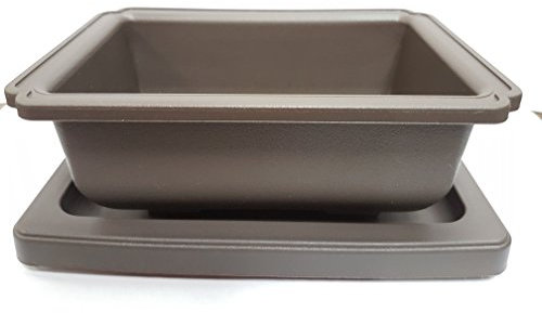 12 Inch Plastic Bonsai Pot with Matching Tray (Inc Postage)
