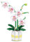 Yunigzmy Ensemble de Bouquets, Mini-Blocs de Construction pour Orchidées, Phalaenopsis, Kit de décoration intérieure (616 pièces) (Blanc)