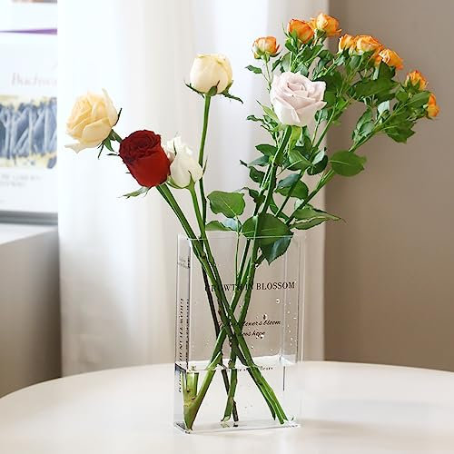 RAVEGO Acryl Vase, Klar Büchervase Tulpenvase,Transparente Blumenvase für Zuhause, Büro, Dekor, Bücherform Blumenvase Minimalistische (Transparent)