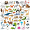 SpriteGru 59 PCS Imanes de Animales del zoológico para niños pequeños, Aprendizaje Preescolar