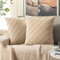 MIULEE 2er Set Samt Kissenbezug Gitter Sofakissen Dekokissen Kissenhülle Kissenbezüge Couchkissen Kissen Samtkissen Weich Einfarbig Zierkissen ohne Füllung für Sofa Wohnzimmer 40x40cm Champagner
