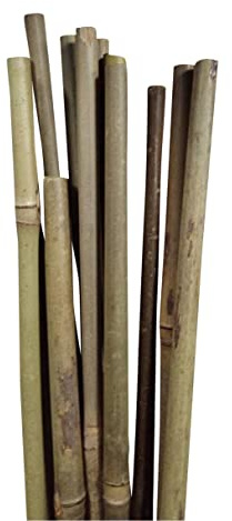 Green>it® Bambus Blumenstäbe 10mm x 150cm - 4er Set Natürliche Bambus Gartenpfähle für Pflanzen & Blumen