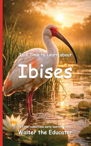 It's Time to Learn about Ibises (Walter the Educator's Collectible Early Learning Book)