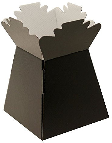 APAC 5 x Black Living Vase Flower Box Flower Bouquet Transporter, Sweet Tree Box