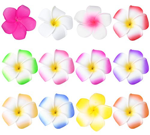 FRCOLOR Hawaiian Plumeria Haarspange Stücke Sommer Hawaii Blumen Haarklammer Schaum Haarnadeln für Beach Party Hochzeit (12 Farben)