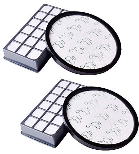 Filtro de repuesto Hepa para aspiradora Rowenta X-Trem Power Cyclonic ZR006001 (RO69xx)