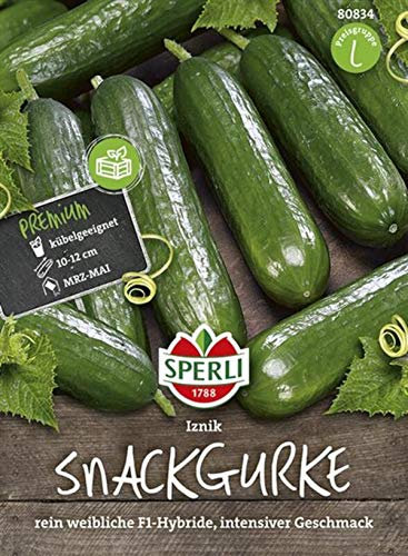 Sperli 80834 Snackgurke Iznik F1-Hybride (Gurkensamen)