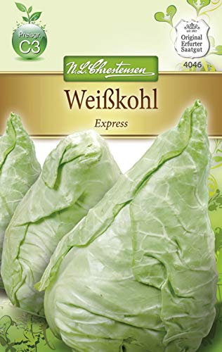 N.L. Chrestensen 4046 Weißkohl Express (Weißkohlsamen)
