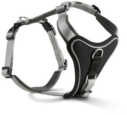 Wolters Geschirr Professional Comfort, Größe:50-60 cm, Farbe:Silber grau