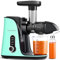 AMZCHEF Exprimidor de verduras y frutas con 2 modos de velocidad, exprimidor lento con botella portátil y 2 tazas, exprimidor de prensa fría sin BPA, con LED inteligente y función inversa, verde