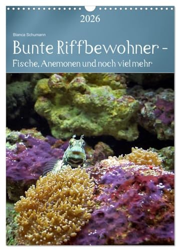 Bunte Riffbewohner - Fische, Anemonen und noch viel mehr (Wandkalender 2026 DIN A3 hoch), CALVENDO Monatskalender: Tropische Riffe bieten eine große Vielfalt an Lebewesen und Farben (CALVENDO Tiere)