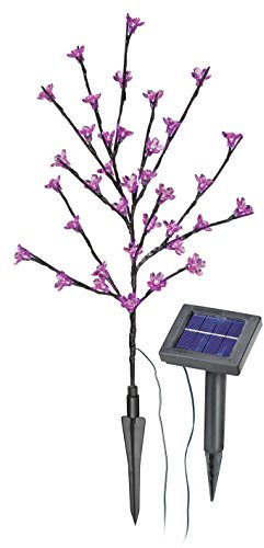 Esotec SOA Arbuste solaire muni de 36 fleurs roses