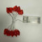 Love Heart Lights 10 LED Red Heart Shaped Lights Gift Decoration