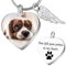 Farfume Personalisierter individueller Foto-Anhänger aus Asche, Schmuck, graviert, Name, Datum, Andenken, Andenken, Herzform, Hundemarke, Urnen-Halskette für Haustiere (Silber-Herzfarbe Foto)