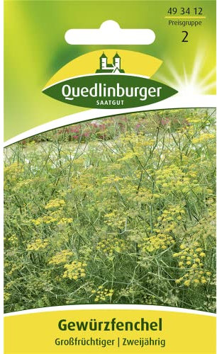 Quedlinburger Saatgut Gewürzfenchel, Großfrüchtiger Samen
