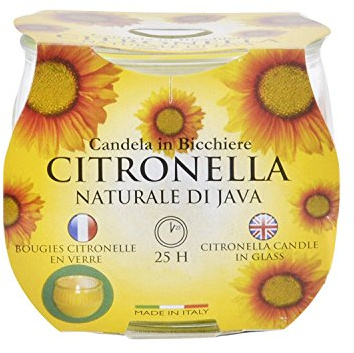 New Prices Citronella Garden Candle in A Glass Jar Approx 25hrs Burn Time (4)
