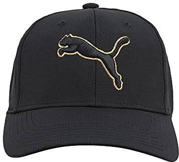 Puma Unisex-Erwachsene Evercat Dillon 2.0 Stretch Cap Baseballkappe, schwarz/Gold, S/M