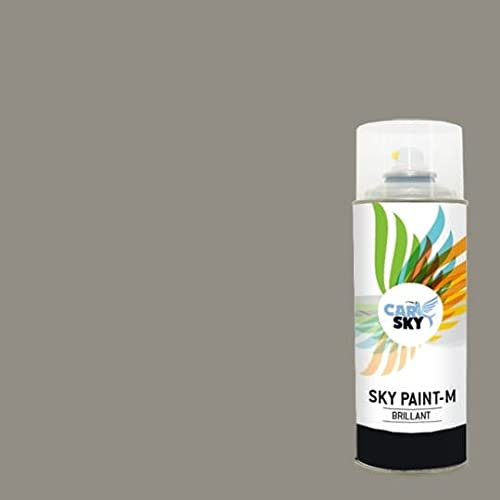 CARSKY Bombe de peinture RAL Gris Pierre 7030 finition brillante 400ml