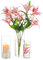 Inweder Jarrones de Cristal Decorativos Modernos - Juego de 3 Floreros Cilíndricos Transparentes Portavela Huracán Portavelas Cristal para Velas Pilar Velas Flotantes Centros Mesa Bodas 15+20+25cm