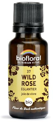 BIOFLORAL - 37 Wild Rose, Églantier BIO - Joie de Vivre - Fleur de Bach Authentique - 470 Granules - Sans Alcool