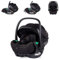 Chipolino i-Size Babyschale Winner (40-87cm) Gruppe 0+, Kopfstütze verstellbar, Farbe:schwarz