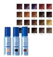 Goldwell Fönschaum Color graphit PA 75ml