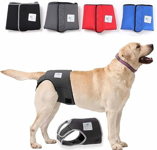 Nature Pet Läufigkeitshose für Hündinnen - Hundewindel für Rüden - Kein lästiges Einfädeln der Rute - Inkontinenz Hundehöschen (XS-L-Grau)