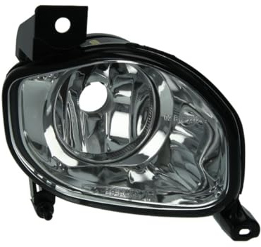 TYC 19-0479001 Fog Light