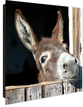 banjado Großer Schlüsselkasten Glas - Schlüsselbox 30x30cm mit 50 Haken - Schlüsselkasten modern für Schlüsselaufbewahrung mit beschreibbarer, magnetischer Glastür - Motiv Nicki