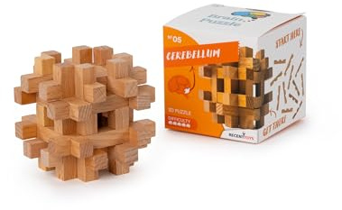 Brainpuzzle#5 Kleinhirn