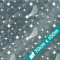 1 Rolle Weihnachts-Geschenkpapier Starry Winter Silber 70cmx100m | Geschenkpapier für Weihnachten