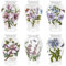 Portmeirion Botanic Garden Canton Vase 20 cm, Assorted Models, 1 piece