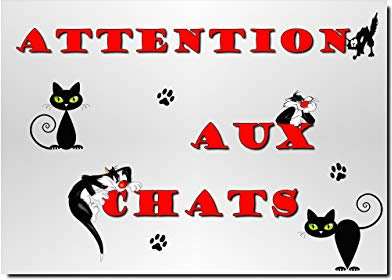 plaque attention chat en métal 29 x 20 cm env réf 01