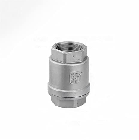 DINGGUANGHE 1/2 3/4 1 2 Zoll BSPT Female Frühling Rückschlagventil Rückschlag 304 Edelstahl-Wasser-Gas-Öl Ventil (Specification : 1/2)
