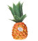 SHAKER FRUIT - Rhythm Tech (RT2054) Piña