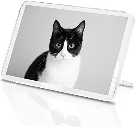 1 x Fridge Magnet - Black & White Cat Kitten Pet #36551