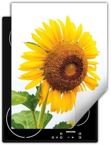 DarHaus Coperchio Piano Cottura 40x52 cm Cucina Copri Fornelli Tappetino Induzione Antiscivolo Piastra Protezione - Girasole