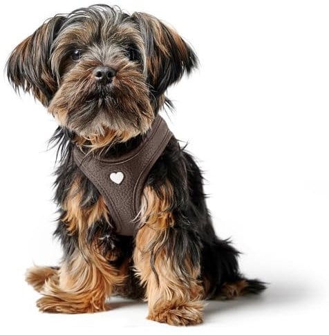 HUNTER Hundegeschirr Love, Farbe: braun, weiches Rindsleder, atmungsaktive Mesh-Polsterung, Herz handgenäht, hoher Komfort, Made in Germany, Größe: S
