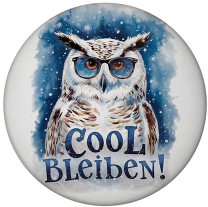 Cool bleiben Magnet Schneeeule mit Sonnenbrille lustiger Magnet für Dekoration oder Büro