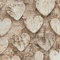 20 Servietten Birke mit Herz/Baum/Liebe/Herbst 33x33cm