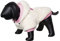 Nobby Hundemantel TEDDY creme / pink 20 cm