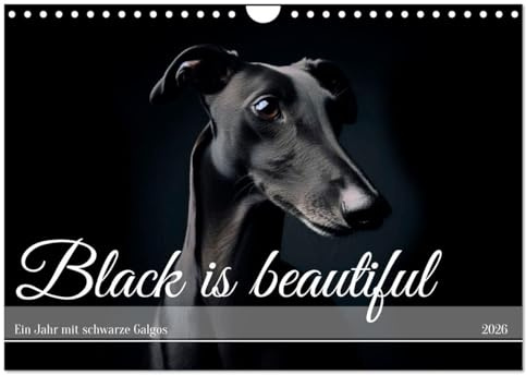 Black is beautiful (Wandkalender 2026 DIN A4 quer), CALVENDO Monatskalender: Schwarze Galgos sind echte Schönheiten (CALVENDO Tiere)