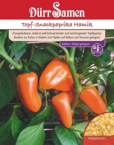 Dürr-Samen - Topf-Snackpaprika Hamik Saatgut