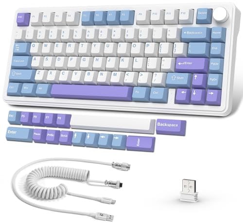AJAZZ x Attack Shark X85 Mechanische Dichtungstastatur,75% kabellose Gaming-Tastatur mit Knopf,5-Lagige Polsterung,2,4G Kabellos/Bluetooth/USB-C,Hot-Swap-Linearschalter,RGB,für PC,MAC (Weiß Lila)