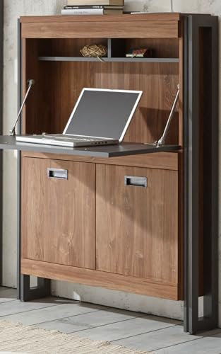 Furn.Design Sekretär in Eiche Stirling und Matera grau, Schreibtisch für Home Office, 90 x 127 cm Auburn