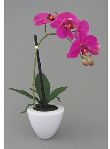 Gasper Kunstblume PHALENOPSIS (Orchidee) im KERAMIKTOPF. Ca 36 cm. Orchidee -83