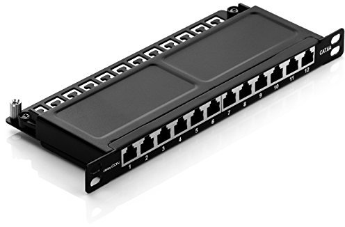deleyCON Panneau de Brassage 12 Port 0,5U Cat 6a Mini Panneau de Brassage Support de Montage Rack 10 Pouces RJ45 Blindé TIA568A TIA568B - Noir