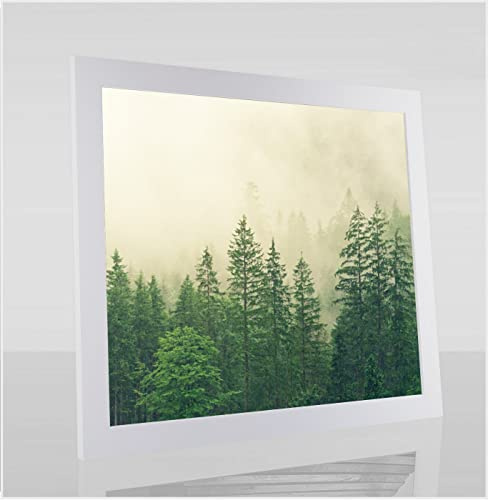 Monaldo Deluxe Bilderrahmen Posterrahmen 51 x 38 cm Weiß Matt Wechselrahmen weisser Hintergrund Antireflex Kunstglas